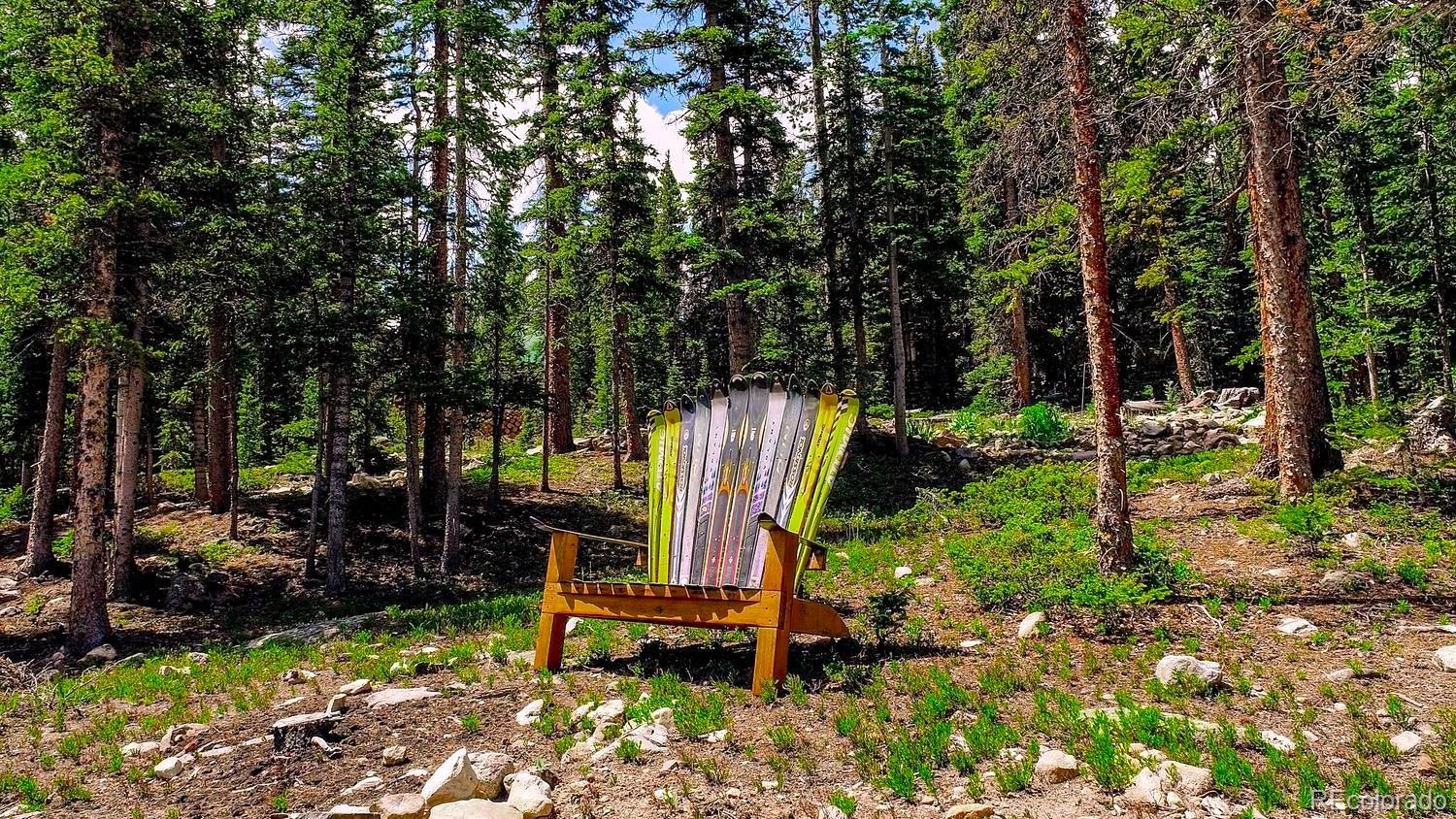 MLS Image #43 for 137  porcupine road,fairplay, Colorado