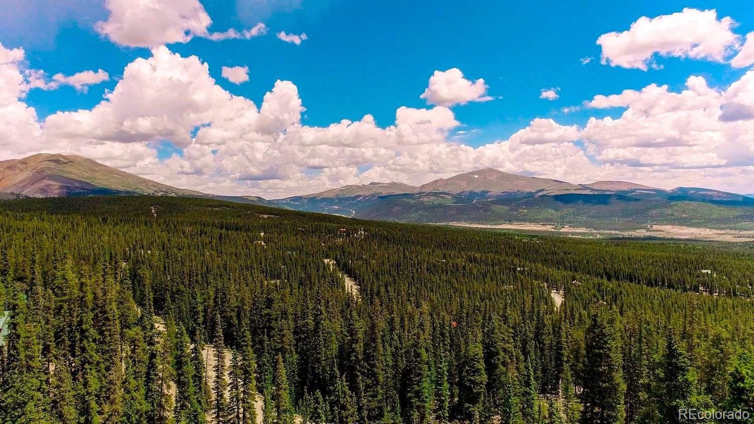 MLS Image #44 for 137  porcupine road,fairplay, Colorado