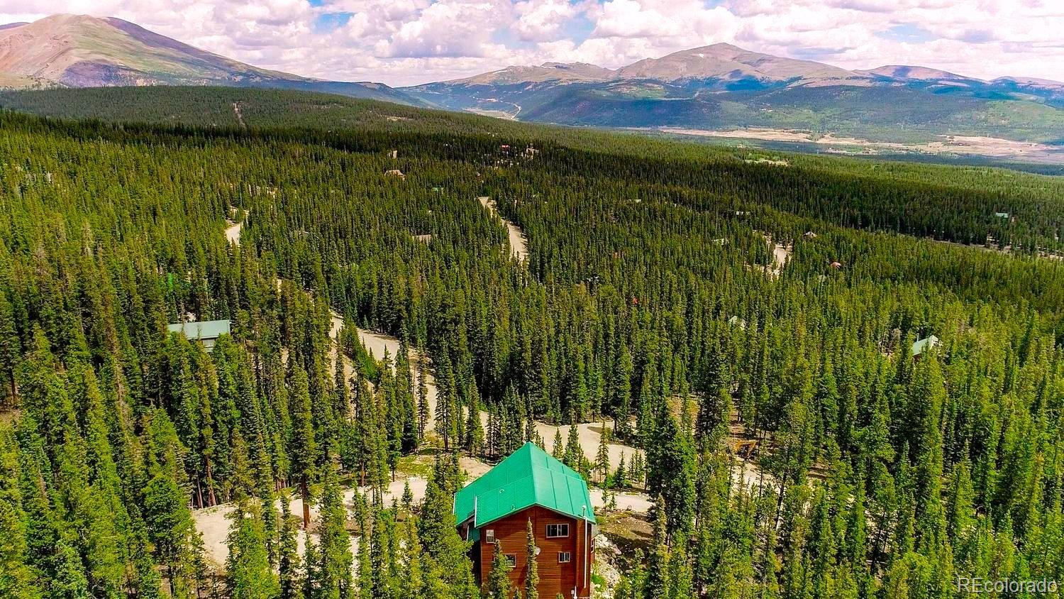 MLS Image #45 for 137  porcupine road,fairplay, Colorado