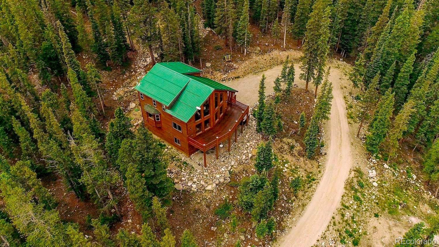 MLS Image #46 for 137  porcupine road,fairplay, Colorado