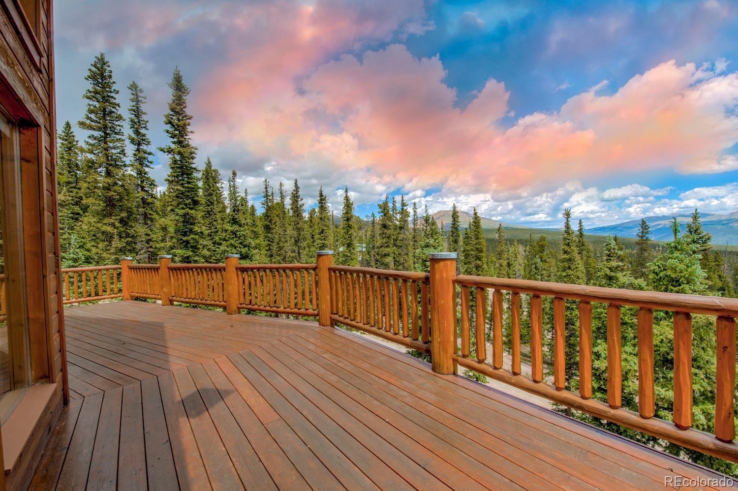 MLS Image #5 for 137  porcupine road,fairplay, Colorado
