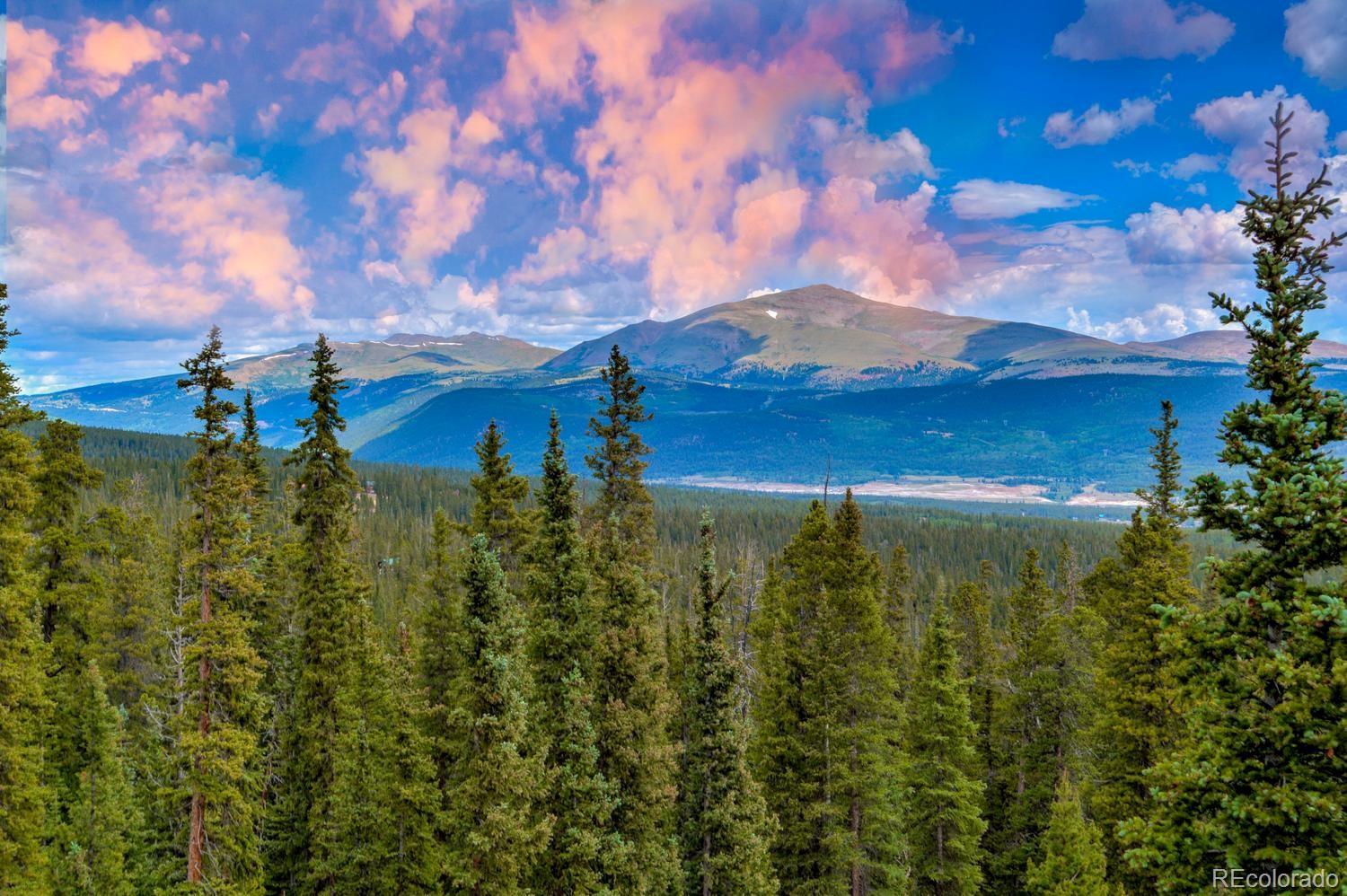 MLS Image #6 for 137  porcupine road,fairplay, Colorado
