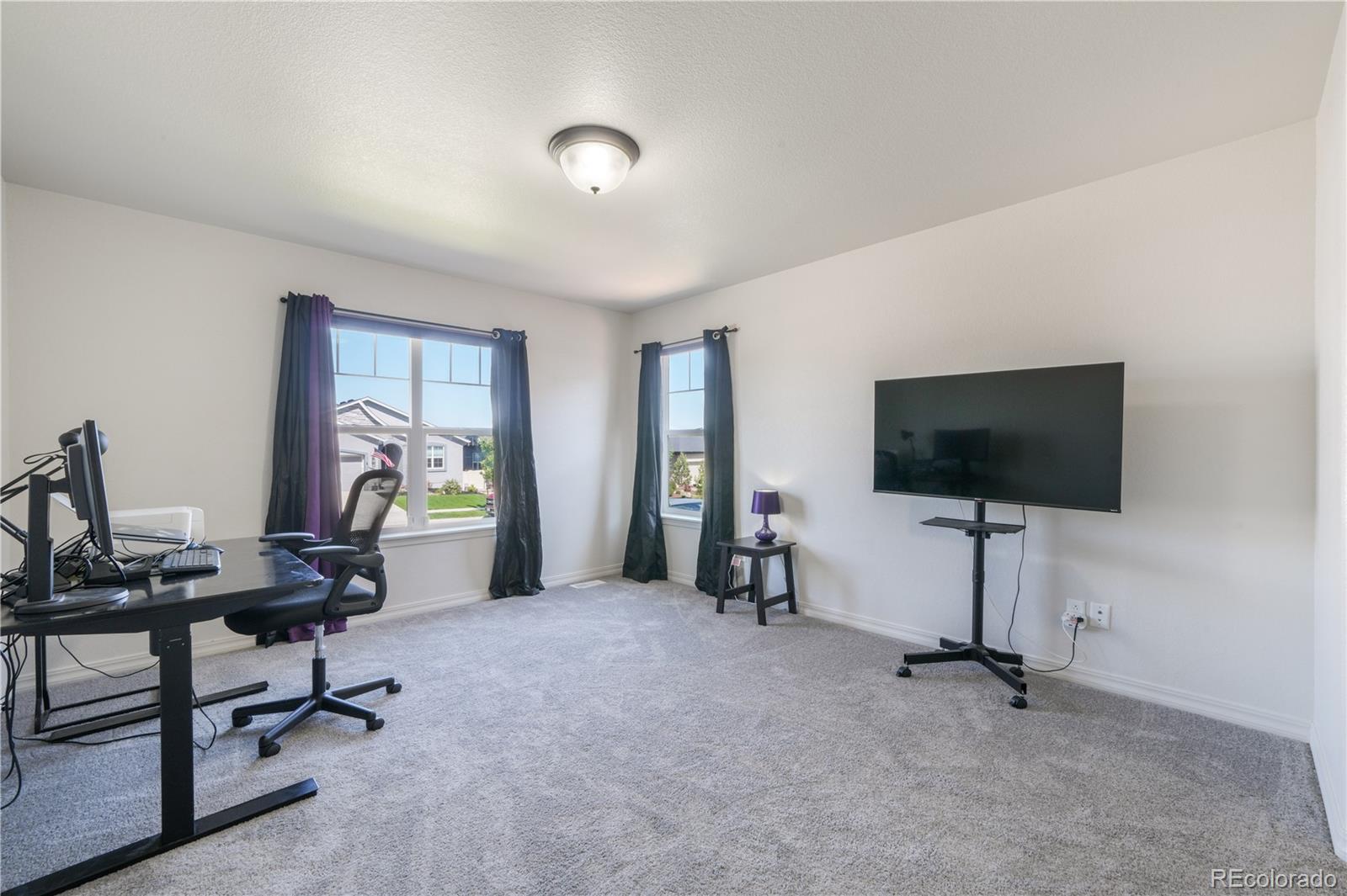 MLS Image #22 for 8121  de anza peak trail,colorado springs, Colorado