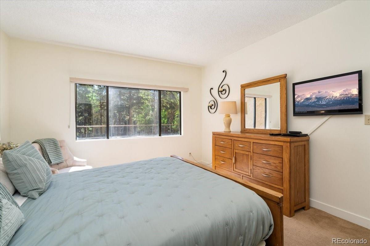 MLS Image #10 for 720  columbine road,breckenridge, Colorado