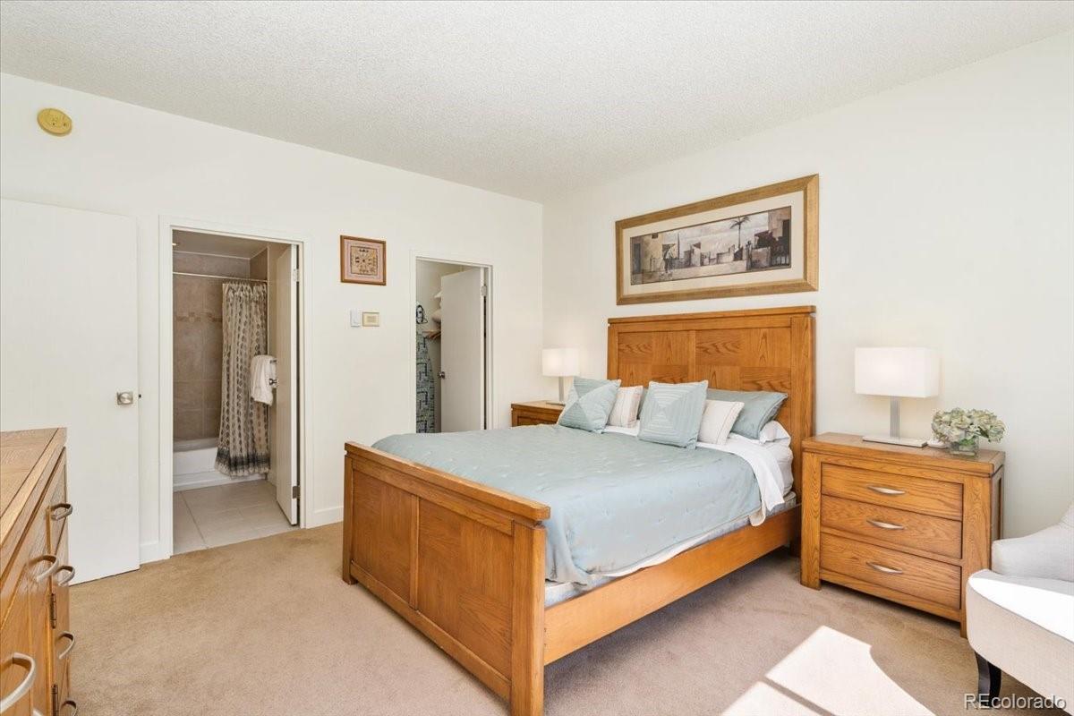 MLS Image #11 for 720  columbine road,breckenridge, Colorado