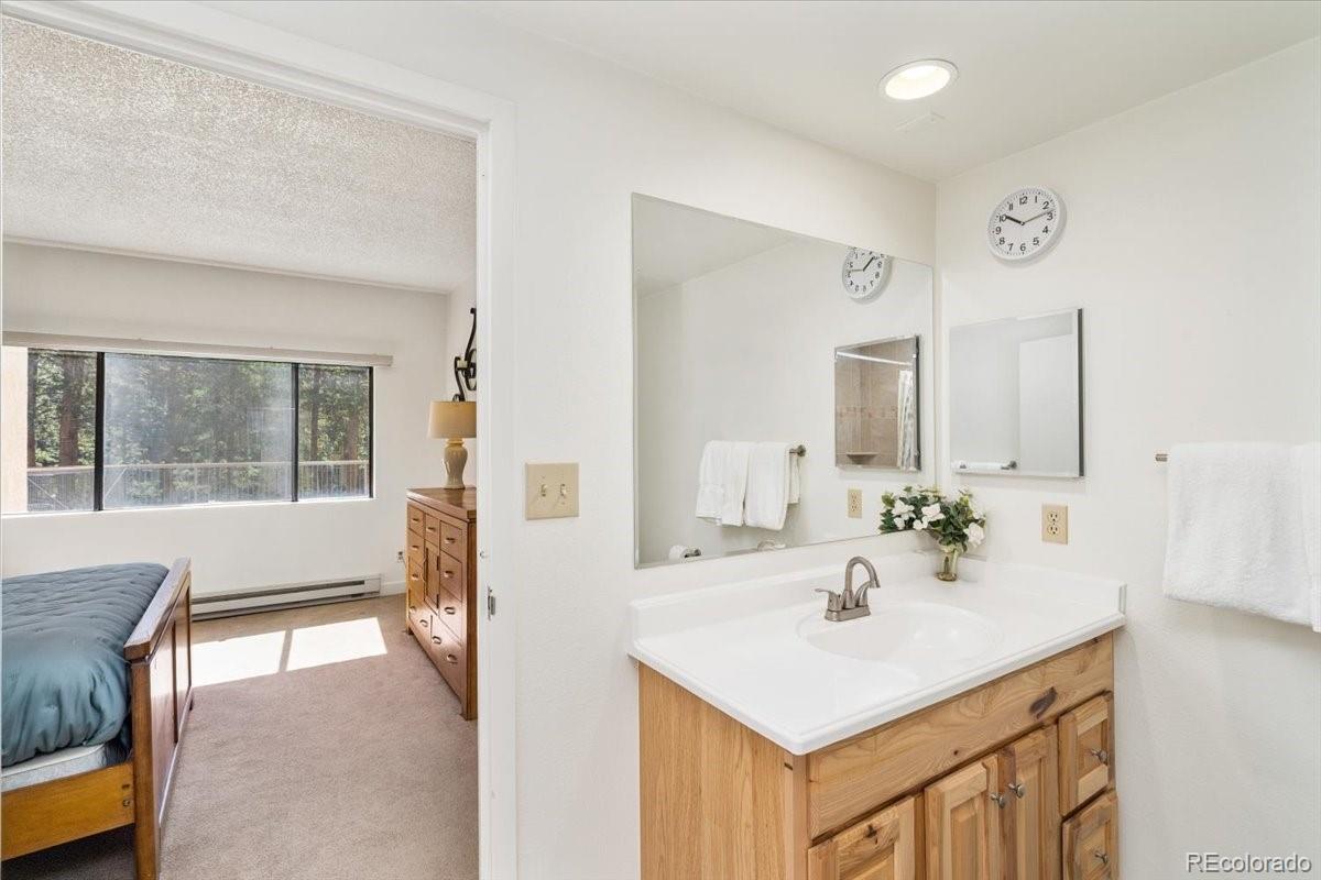 MLS Image #12 for 720  columbine road,breckenridge, Colorado