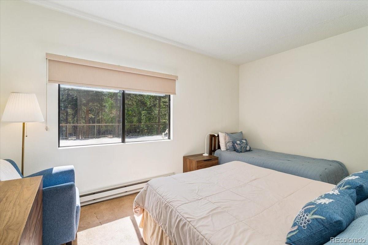 MLS Image #14 for 720  columbine road,breckenridge, Colorado