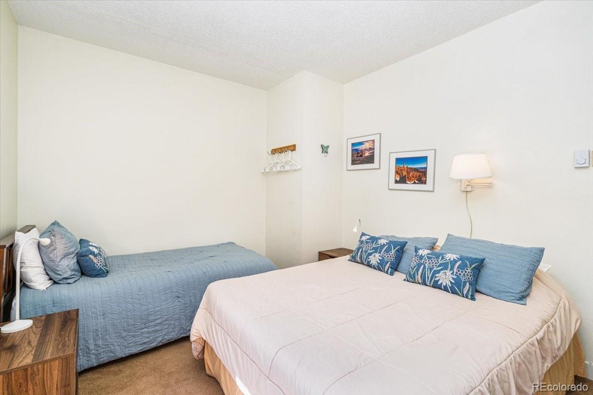 MLS Image #15 for 720  columbine road,breckenridge, Colorado