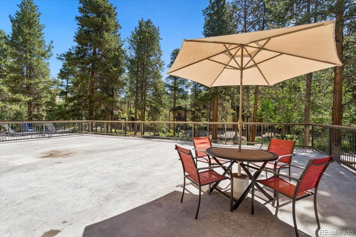MLS Image #18 for 720  columbine road,breckenridge, Colorado