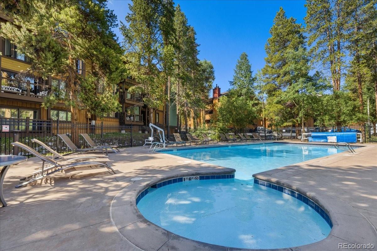 MLS Image #26 for 720  columbine road,breckenridge, Colorado