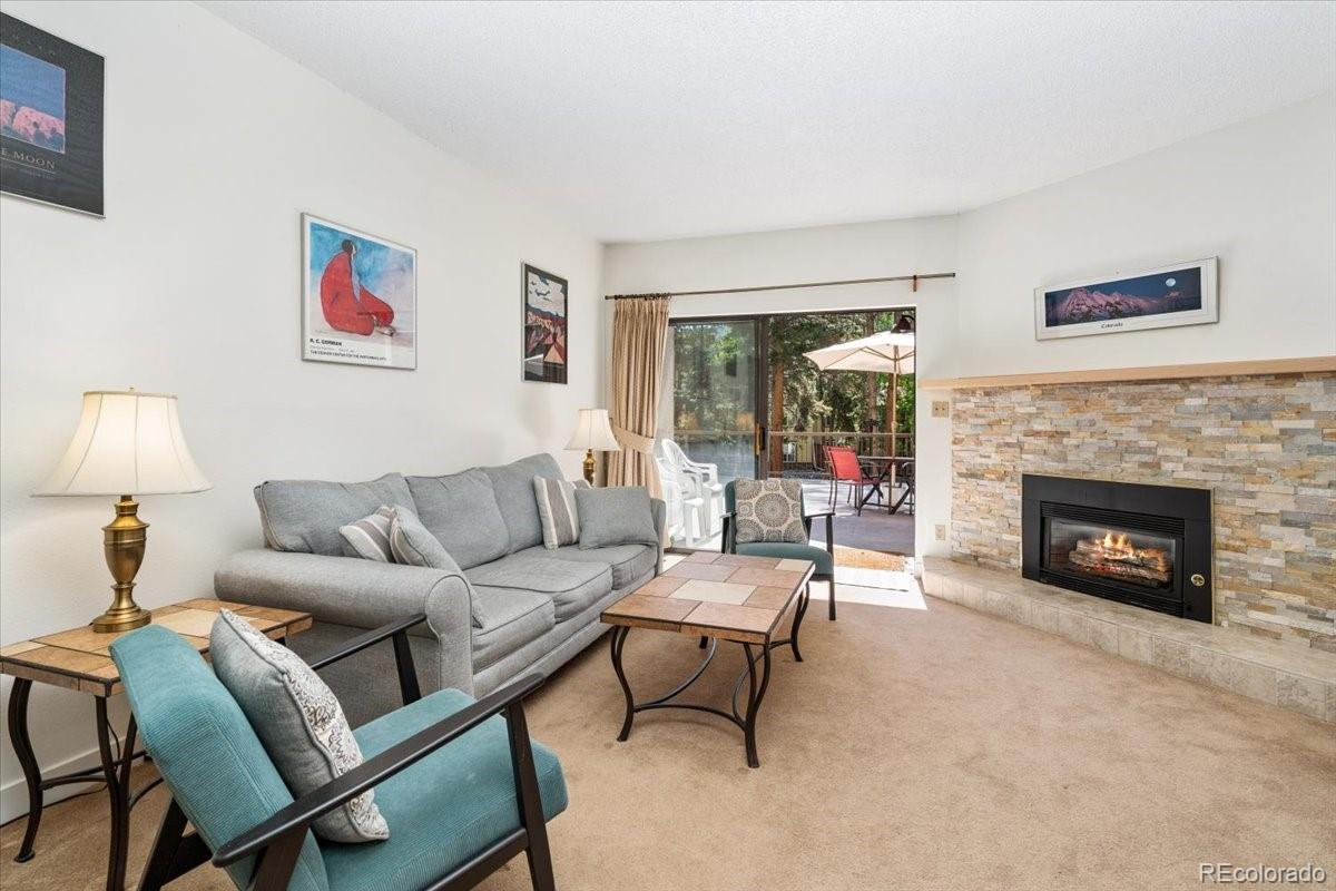 MLS Image #3 for 720  columbine road,breckenridge, Colorado