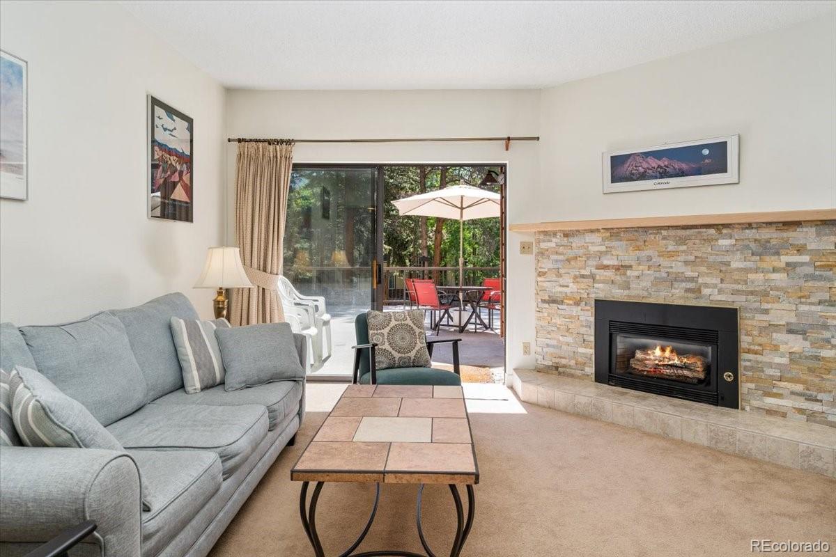 MLS Image #4 for 720  columbine road,breckenridge, Colorado