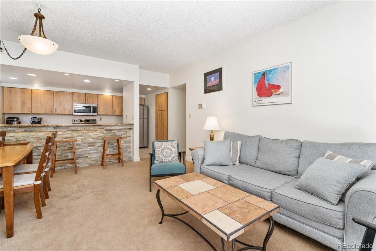 MLS Image #5 for 720  columbine road,breckenridge, Colorado