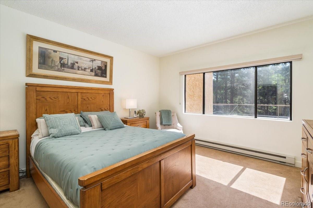 MLS Image #9 for 720  columbine road,breckenridge, Colorado