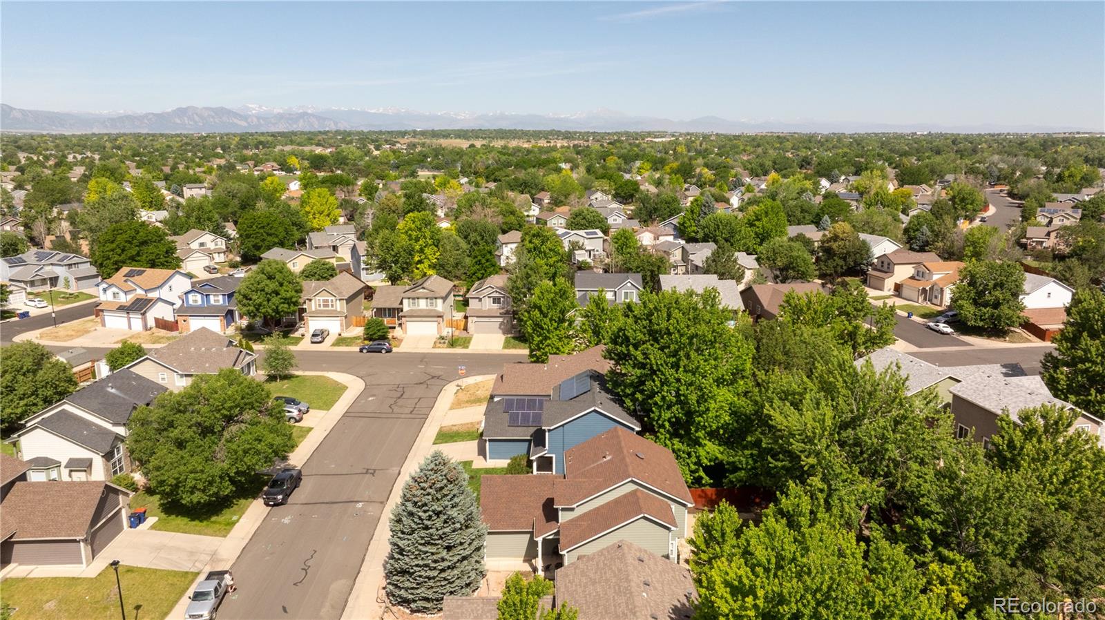 MLS Image #41 for 2765  canossa drive,broomfield, Colorado