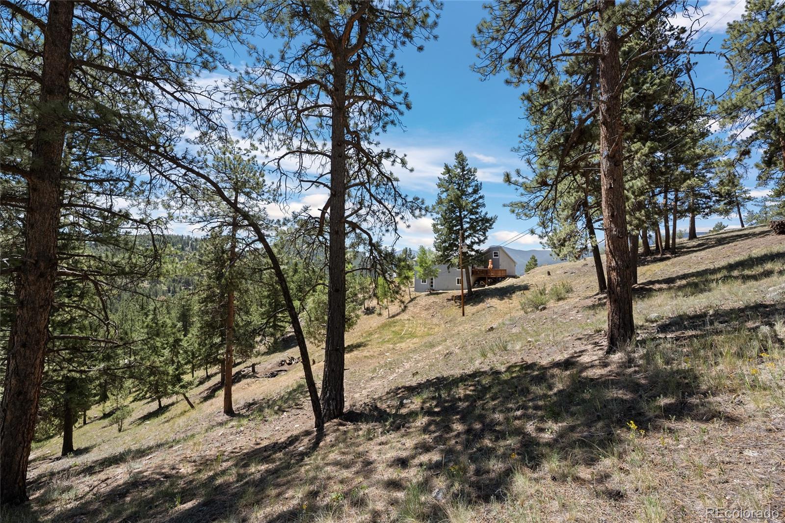 MLS Image #10 for 1729  crow valley road,bailey, Colorado