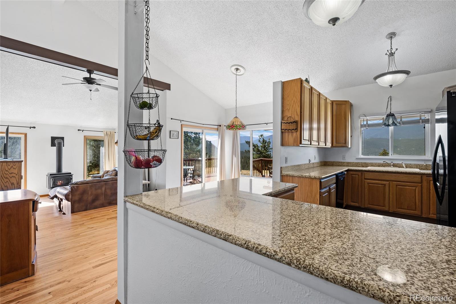 MLS Image #13 for 1729  crow valley road,bailey, Colorado