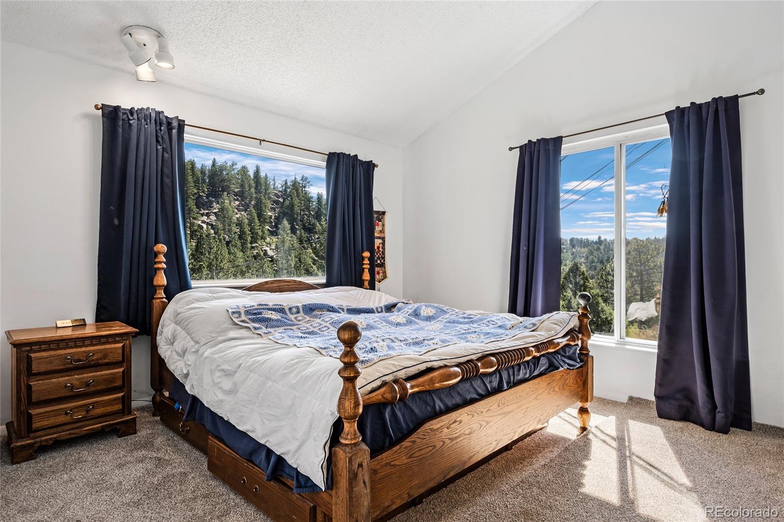 MLS Image #28 for 1729  crow valley road,bailey, Colorado