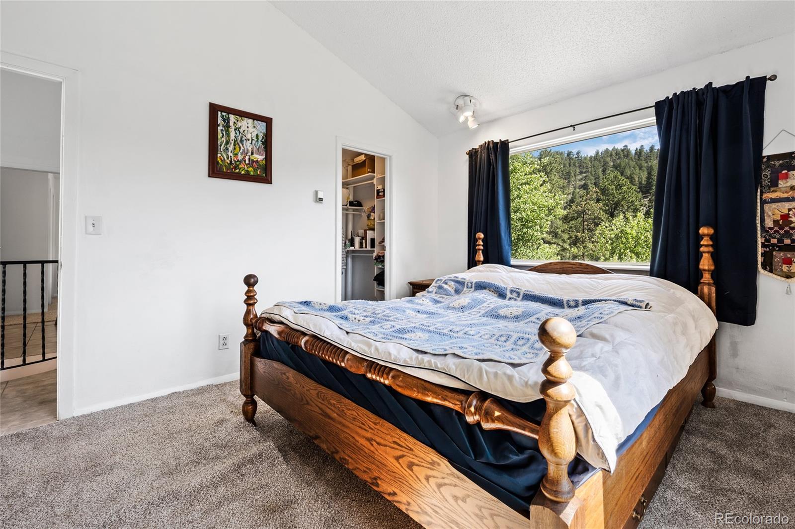 MLS Image #29 for 1729  crow valley road,bailey, Colorado
