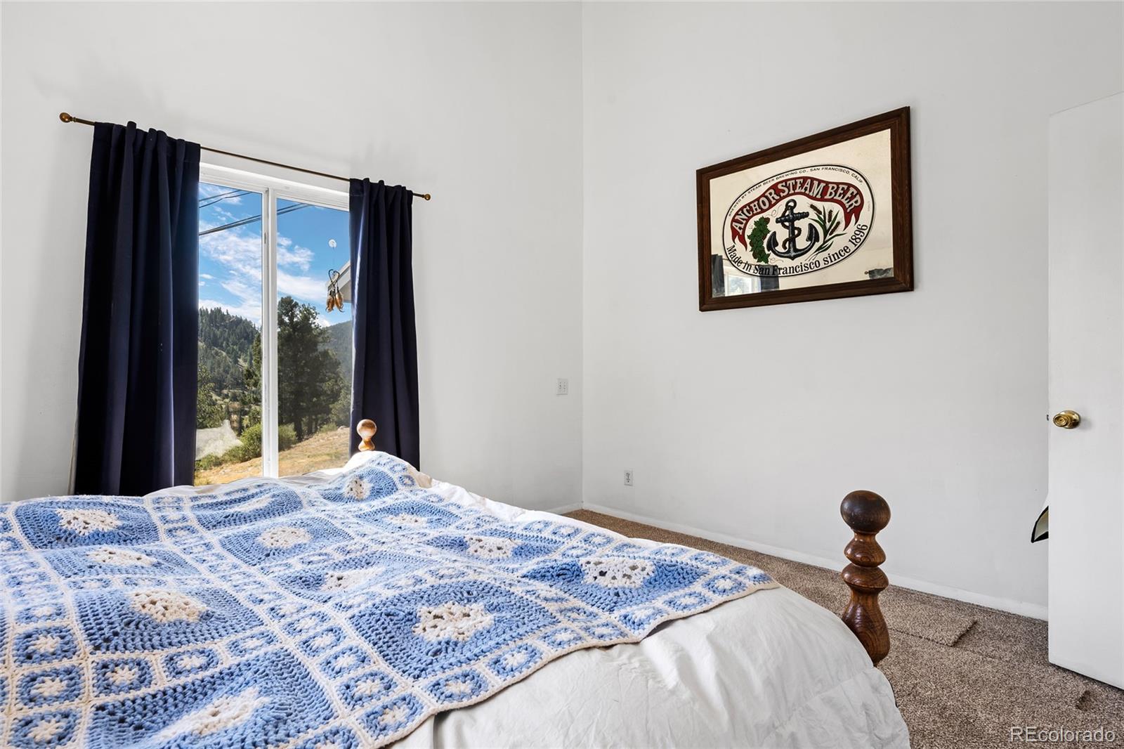 MLS Image #30 for 1729  crow valley road,bailey, Colorado