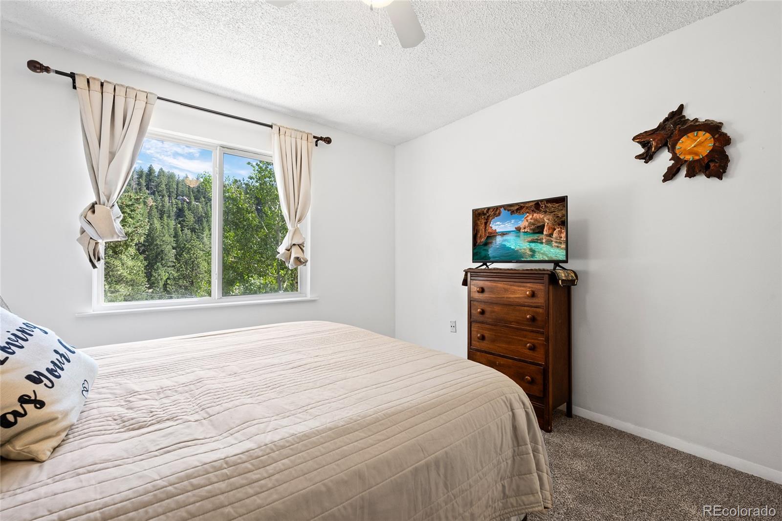 MLS Image #34 for 1729  crow valley road,bailey, Colorado