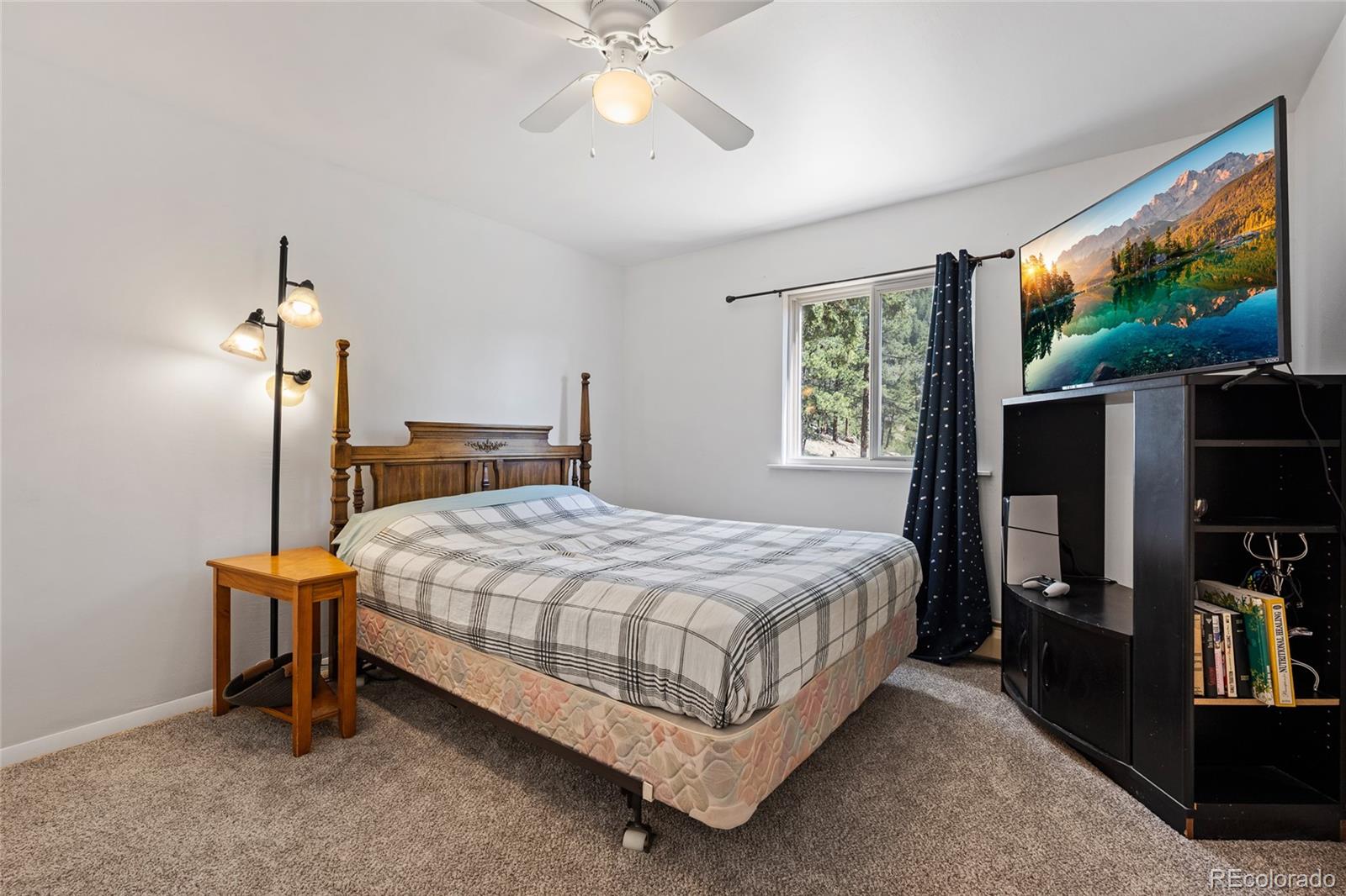 MLS Image #42 for 1729  crow valley road,bailey, Colorado