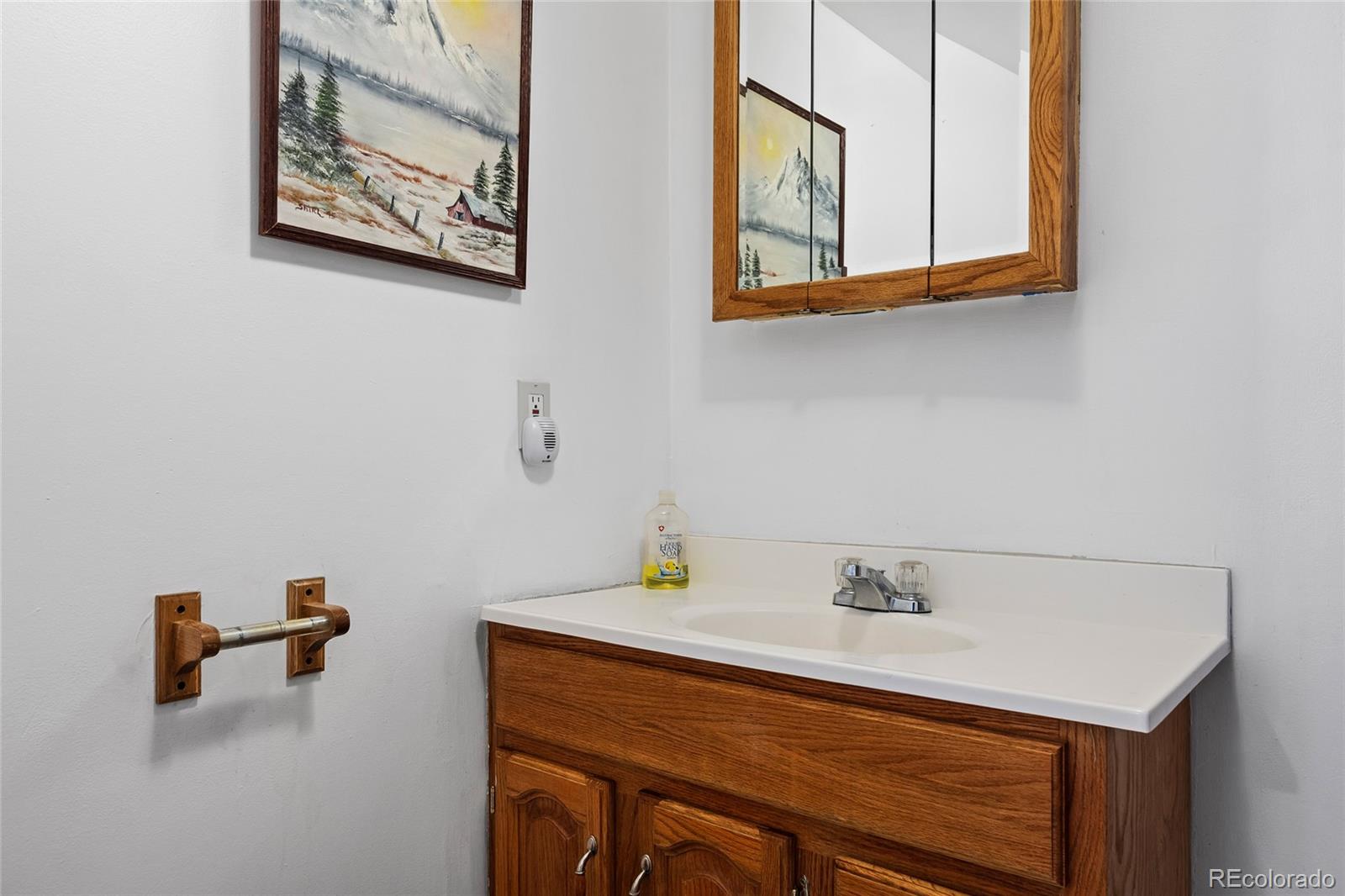 MLS Image #45 for 1729  crow valley road,bailey, Colorado