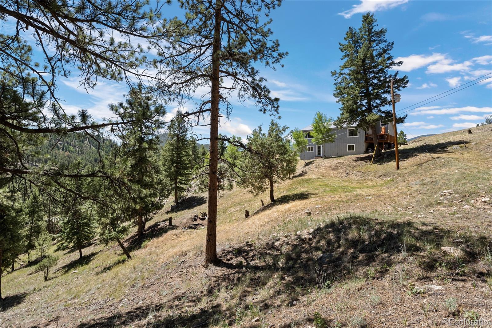 MLS Image #9 for 1729  crow valley road,bailey, Colorado