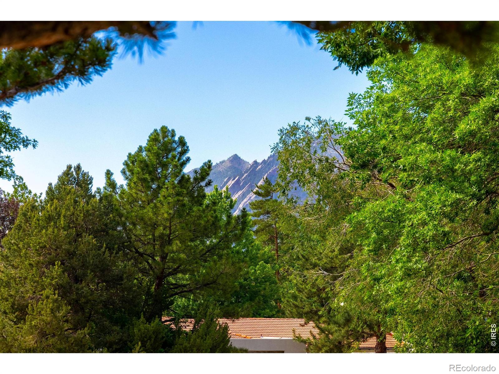 MLS Image #40 for 543  linden park drive,boulder, Colorado