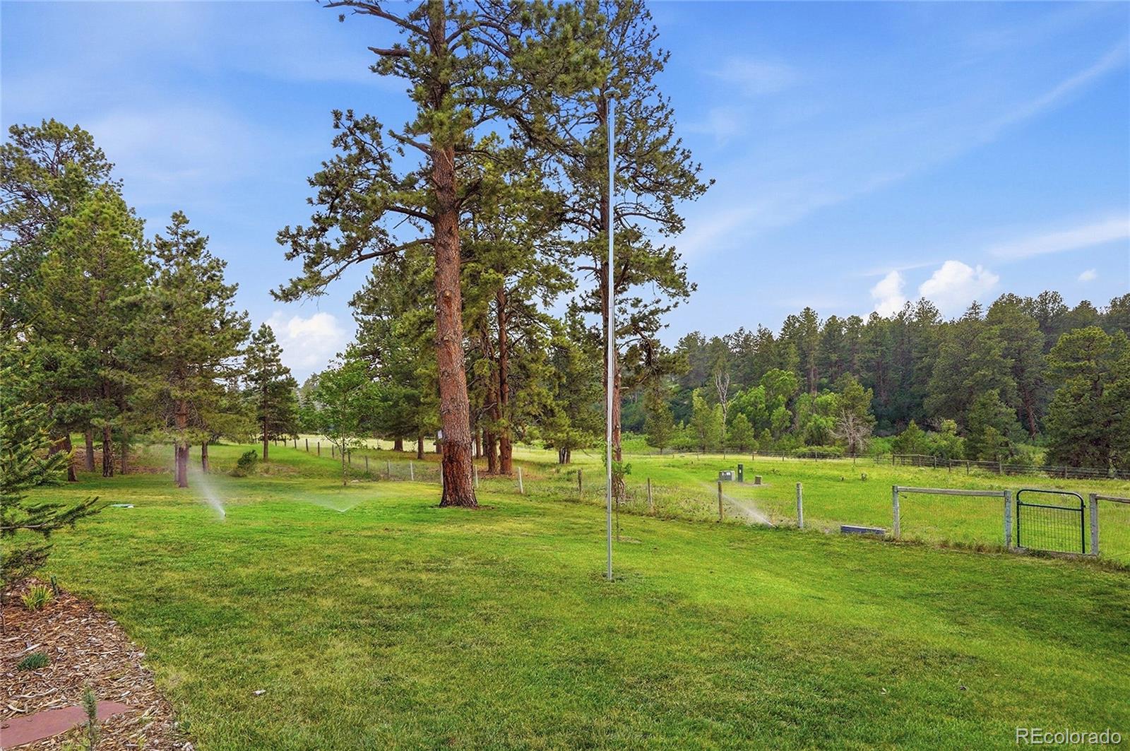 MLS Image #39 for 10462  tomichi drive,franktown, Colorado