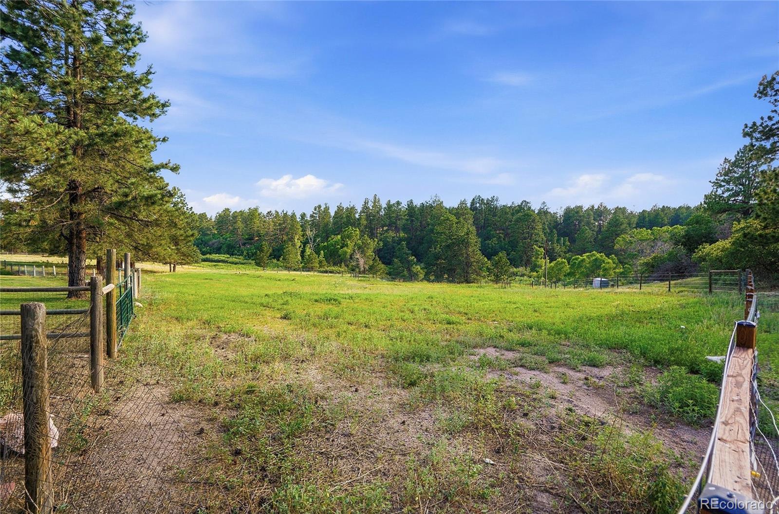 MLS Image #45 for 10462  tomichi drive,franktown, Colorado