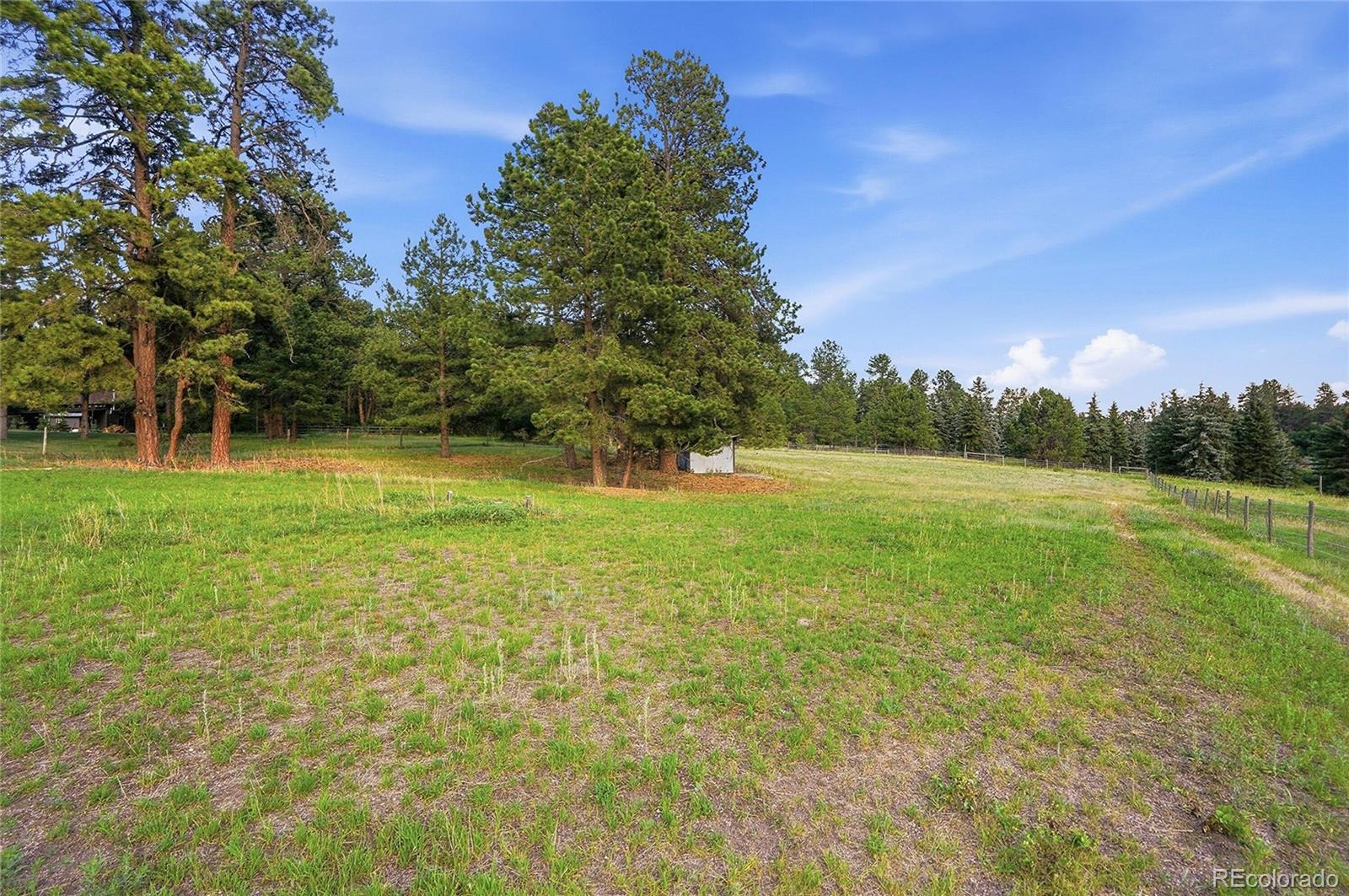MLS Image #49 for 10462  tomichi drive,franktown, Colorado