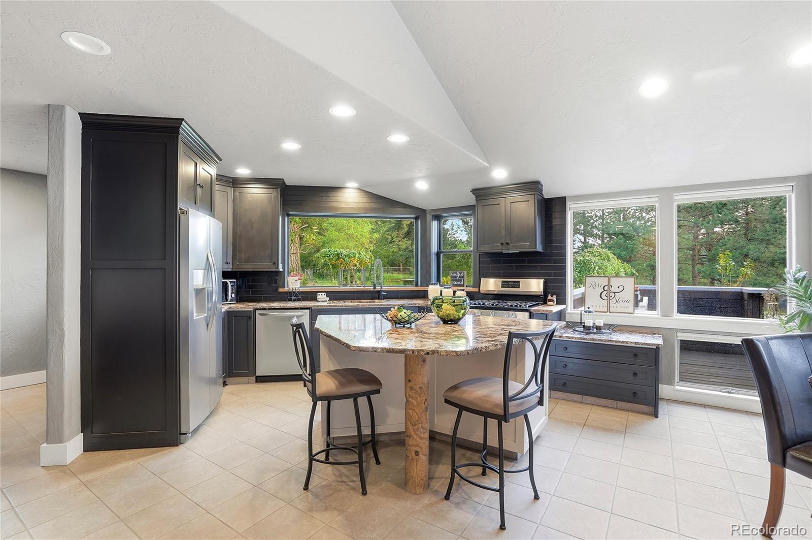 MLS Image #7 for 10462  tomichi drive,franktown, Colorado