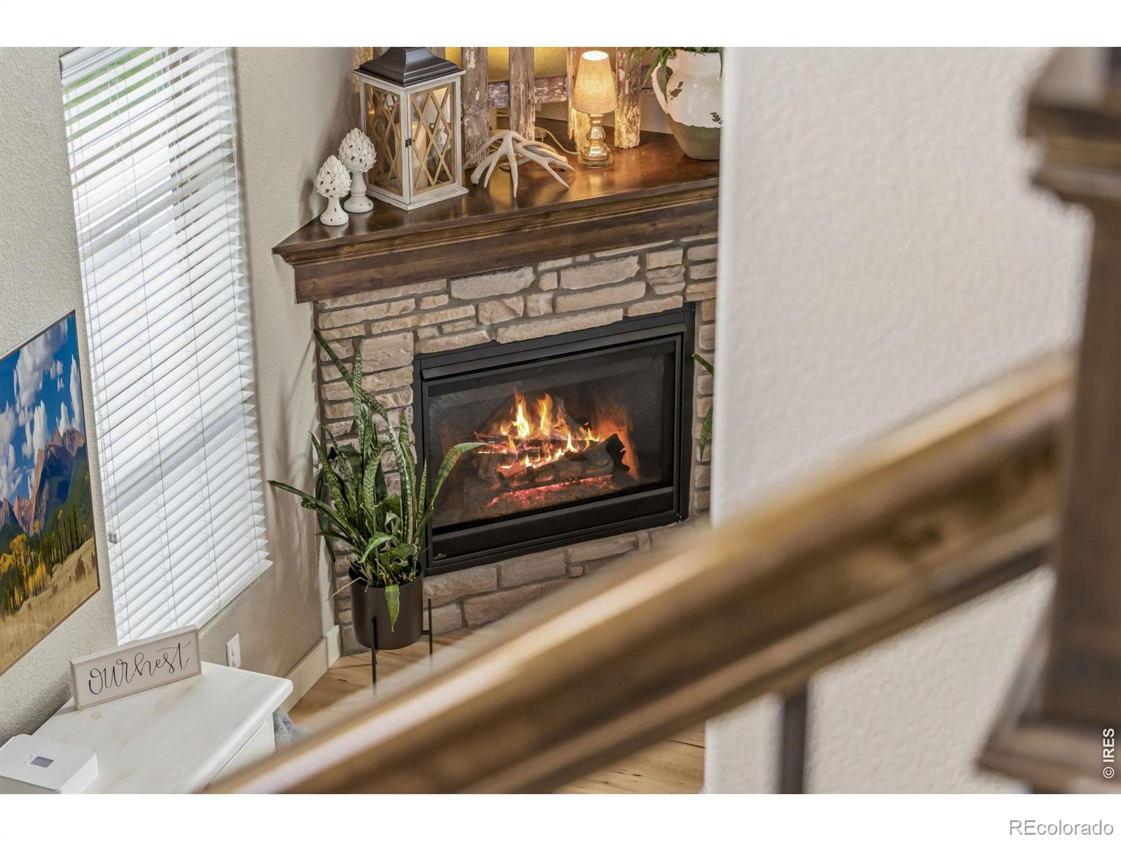 MLS Image #19 for 608  vermilion peak drive,windsor, Colorado
