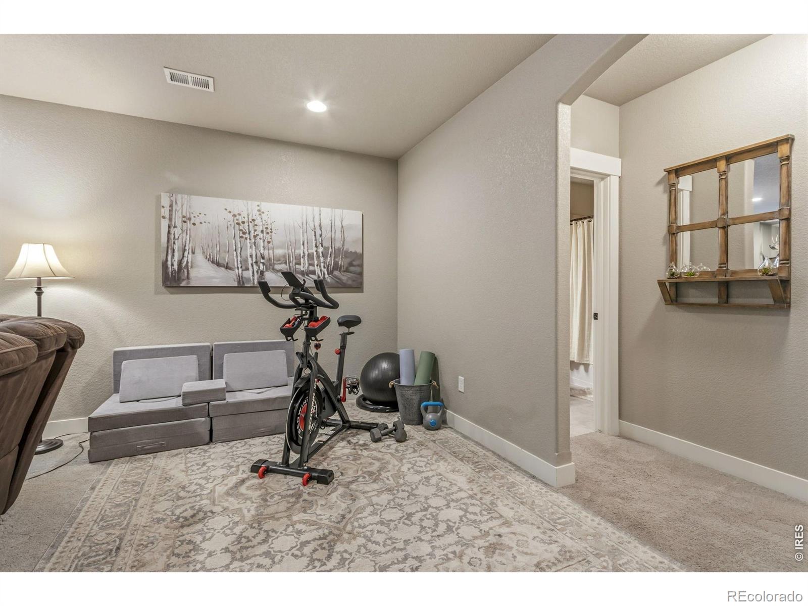 MLS Image #32 for 608  vermilion peak drive,windsor, Colorado