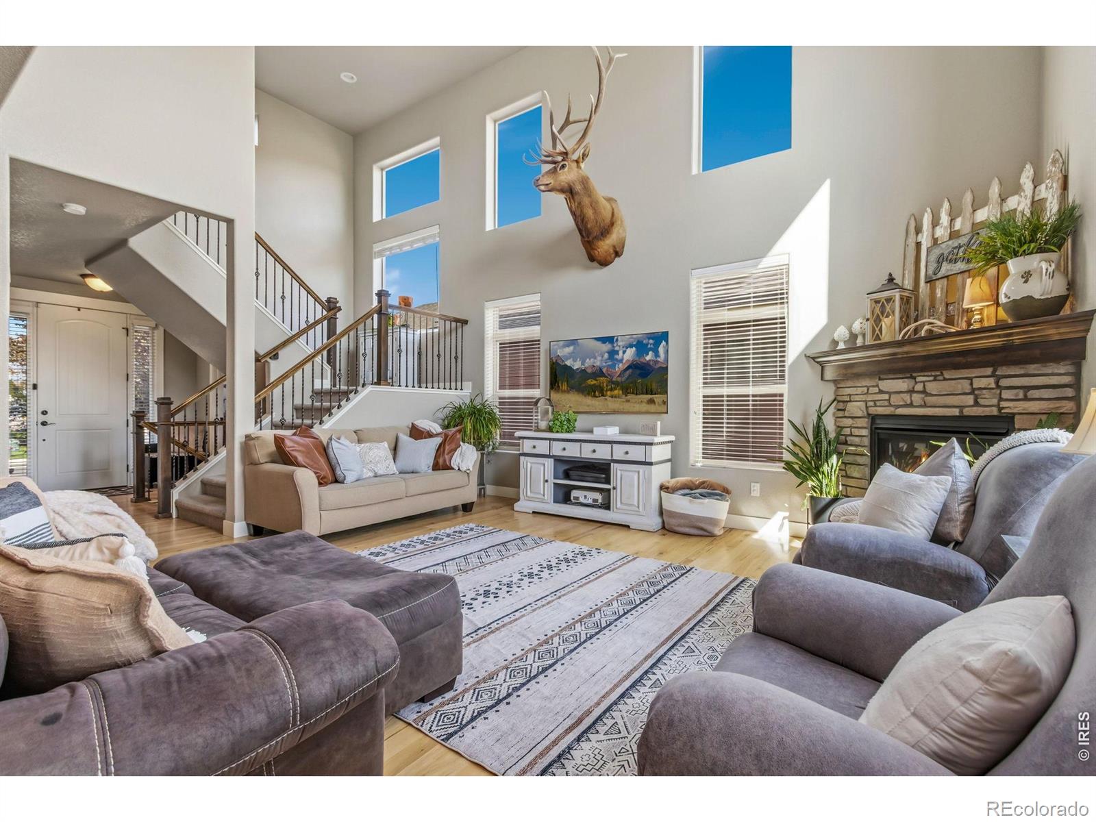 MLS Image #8 for 608  vermilion peak drive,windsor, Colorado