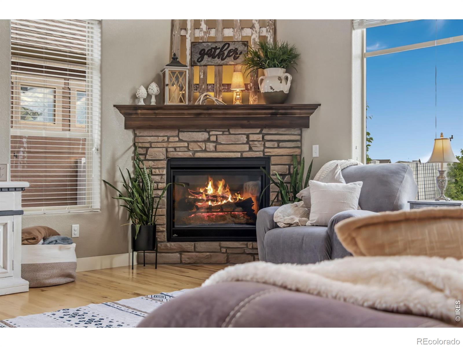 MLS Image #9 for 608  vermilion peak drive,windsor, Colorado
