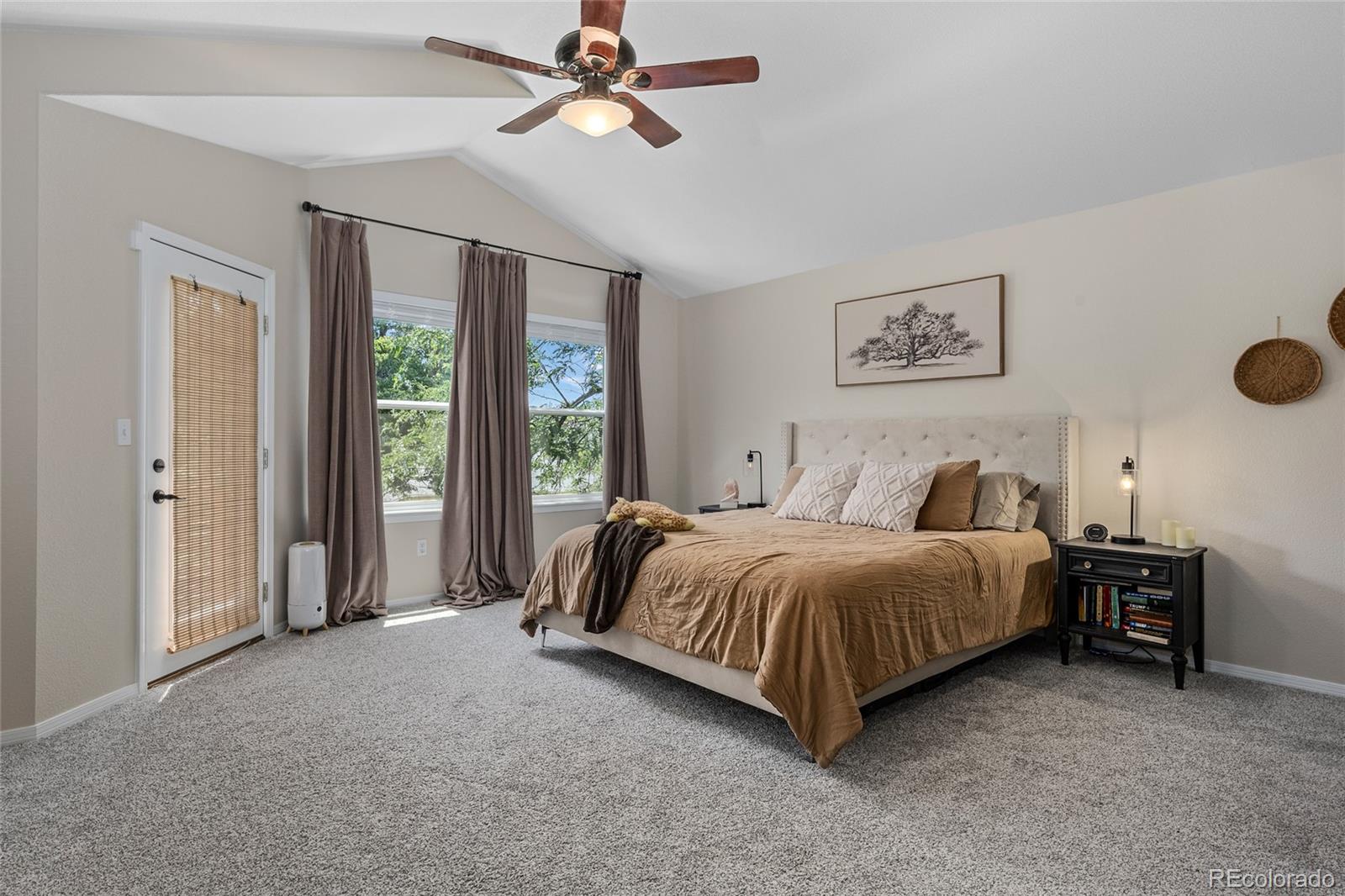 MLS Image #18 for 1360  snowberry lane,broomfield, Colorado