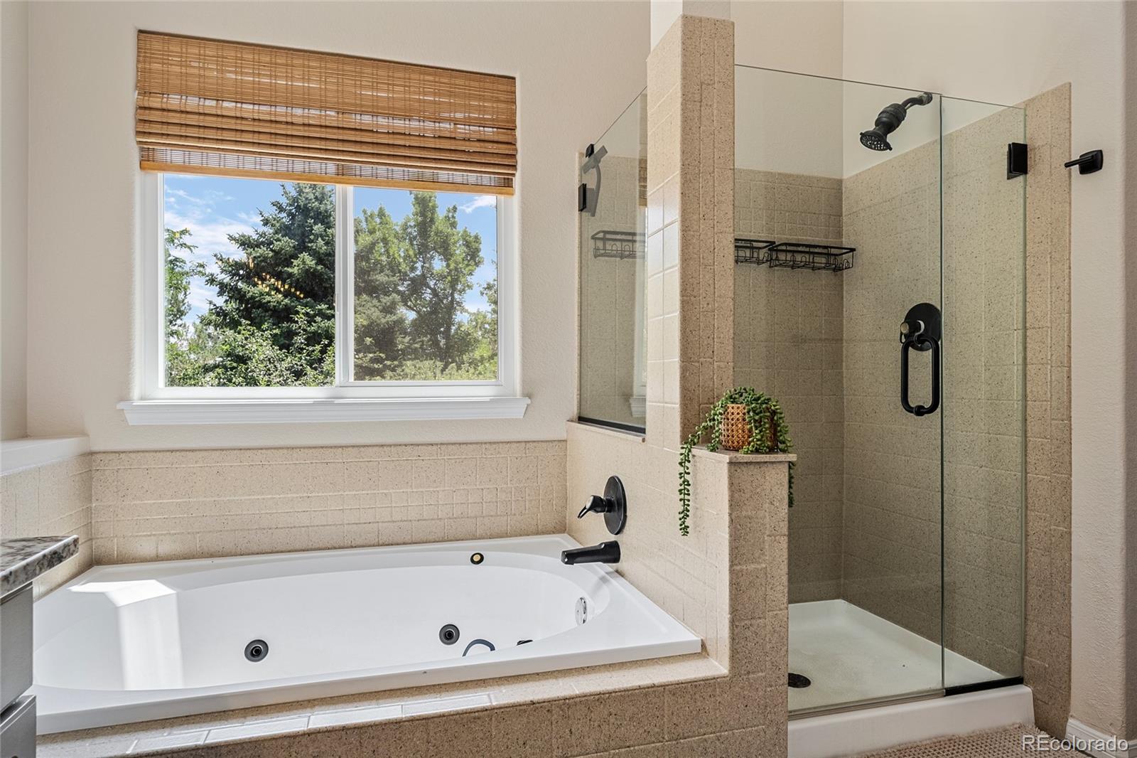 MLS Image #22 for 1360  snowberry lane,broomfield, Colorado