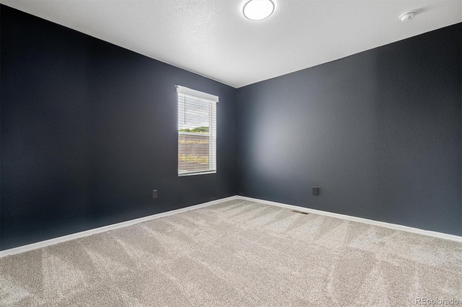 MLS Image #21 for 5823  plains end court,castle rock, Colorado