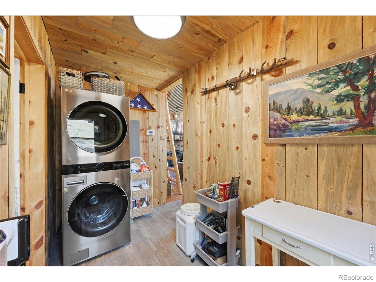 MLS Image #22 for 333  white eagle way,red feather lakes, Colorado