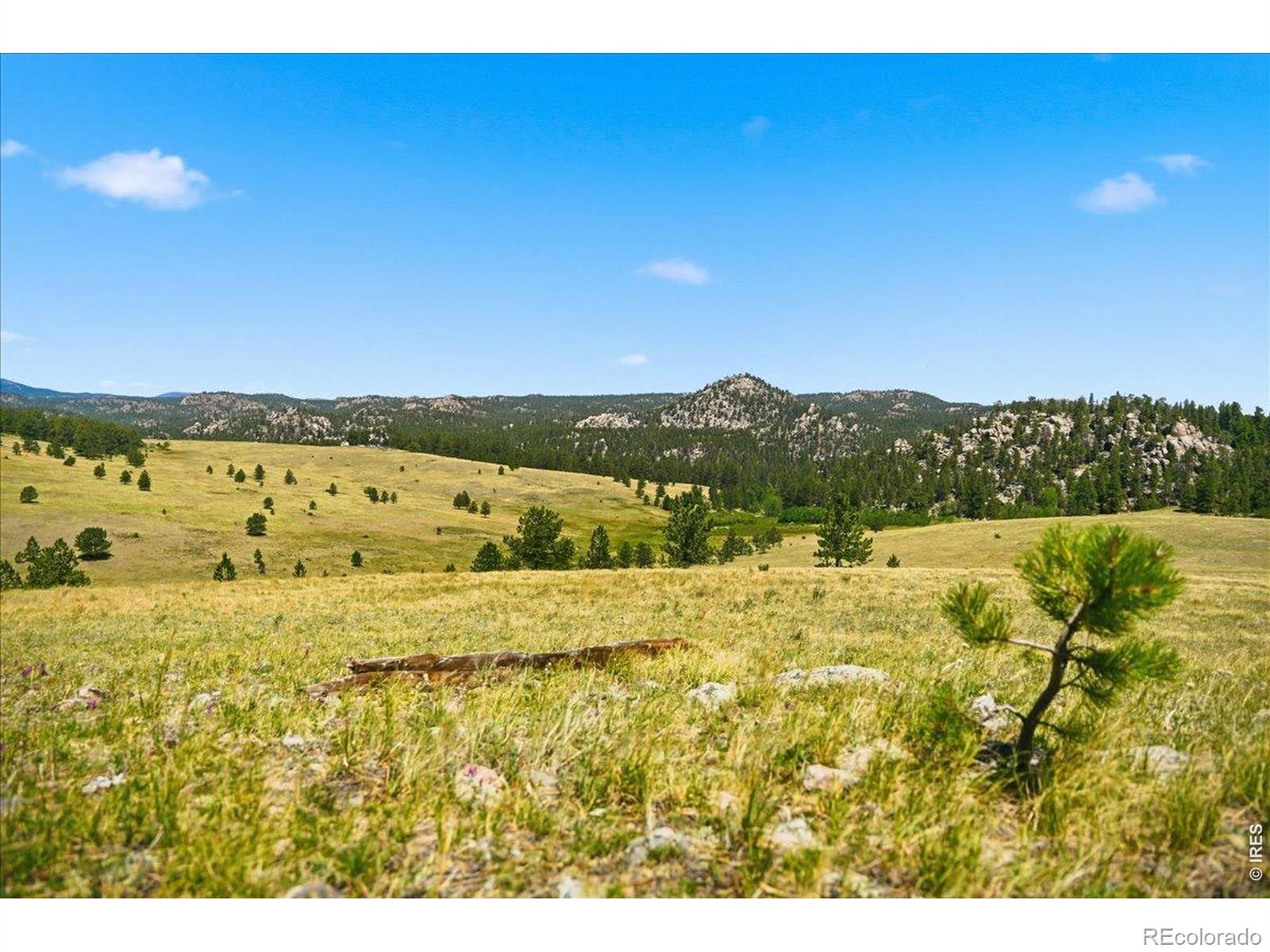 MLS Image #26 for 333  white eagle way,red feather lakes, Colorado
