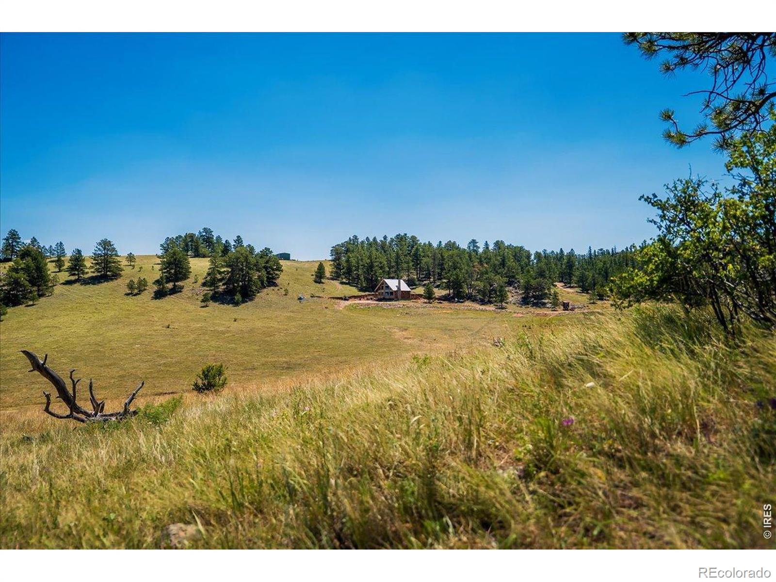 MLS Image #27 for 333  white eagle way,red feather lakes, Colorado