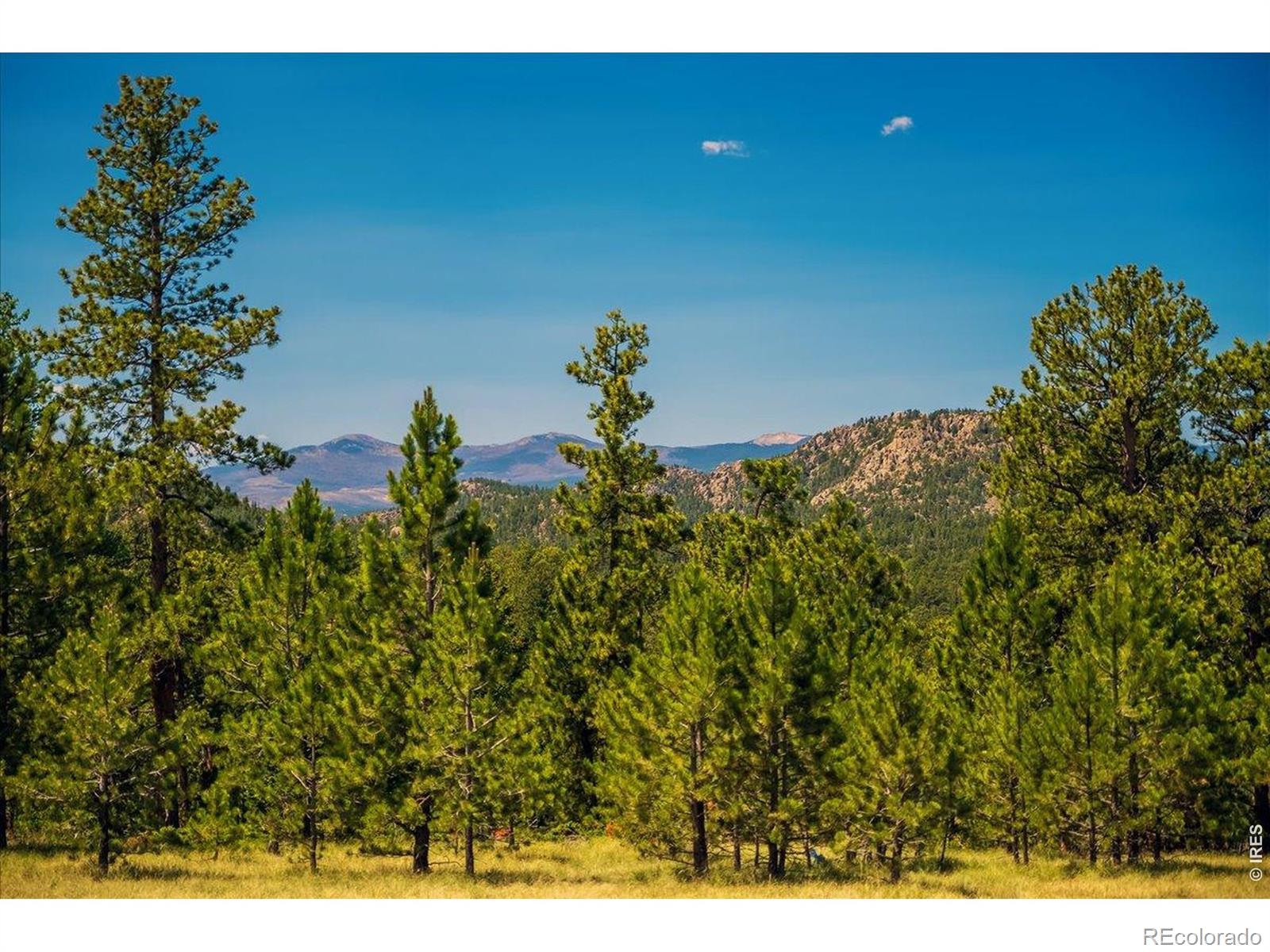 MLS Image #28 for 333  white eagle way,red feather lakes, Colorado