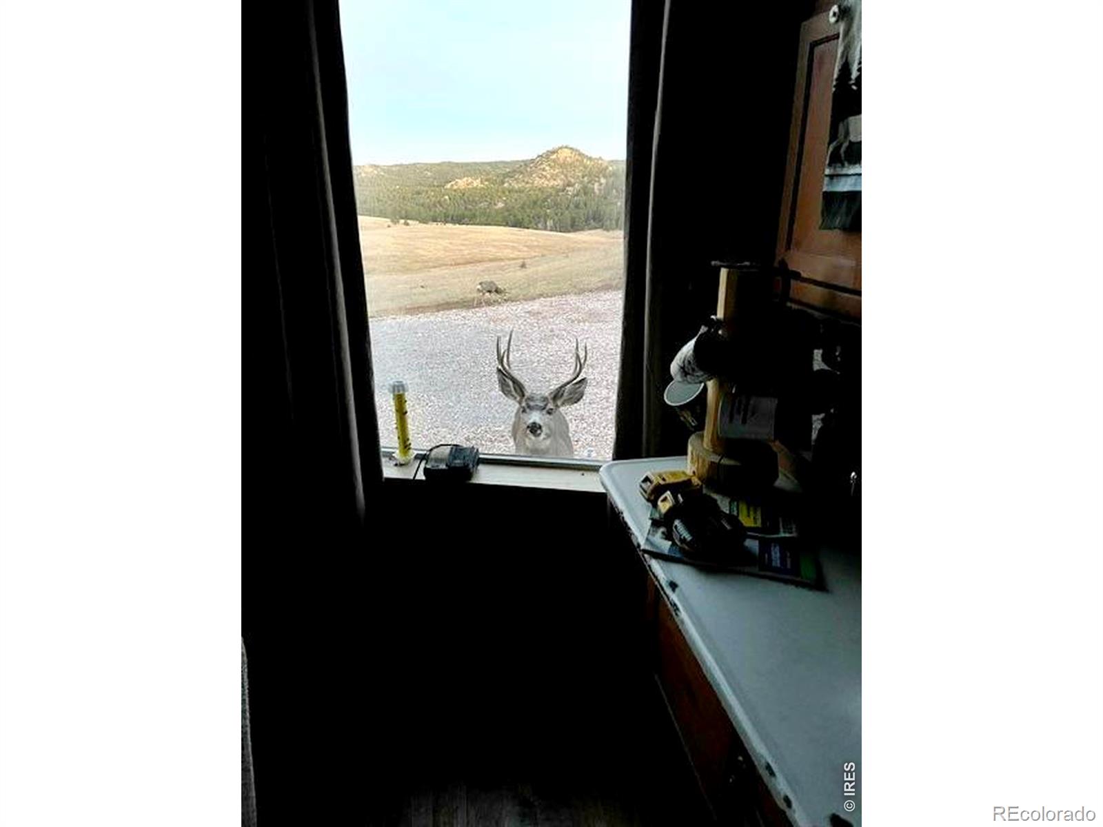 MLS Image #38 for 333  white eagle way,red feather lakes, Colorado