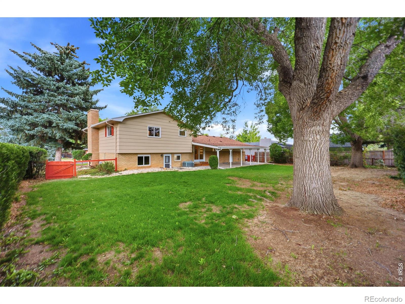 MLS Image #32 for 1917  estrella avenue,loveland, Colorado