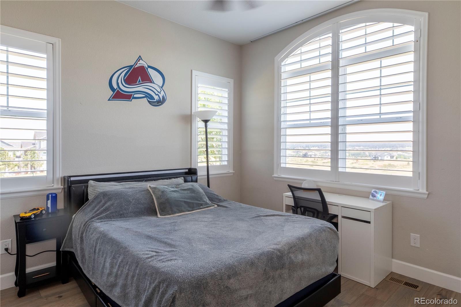 MLS Image #16 for 9190  red primrose street,franktown, Colorado