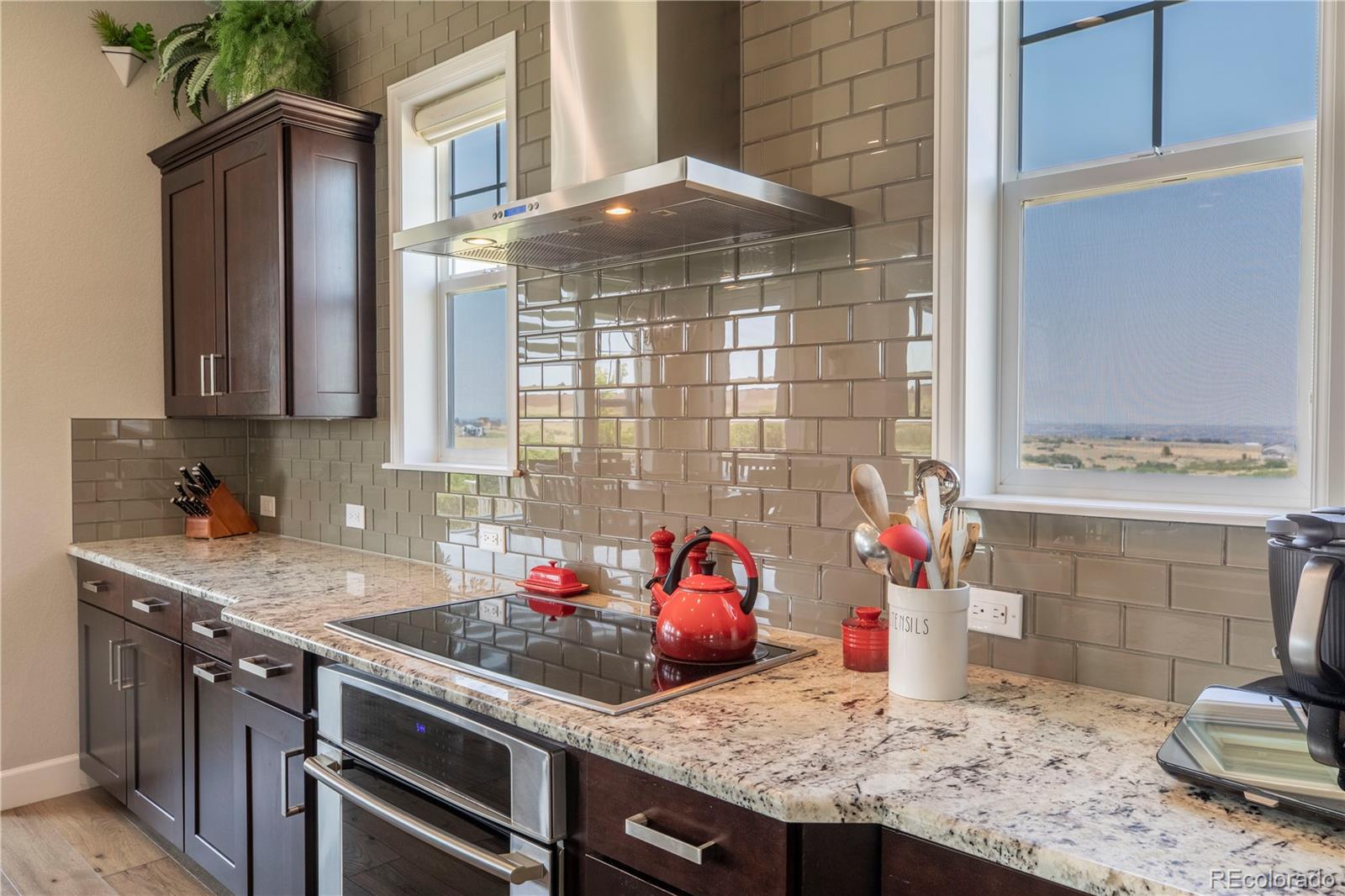 MLS Image #9 for 9190  red primrose street,franktown, Colorado