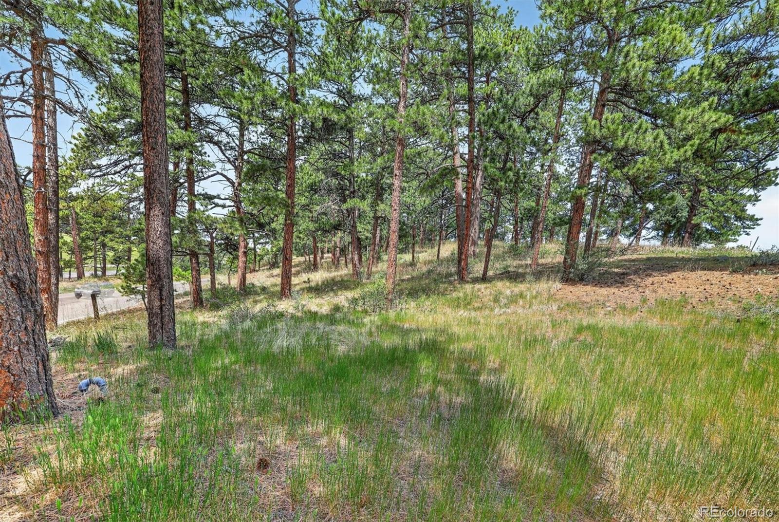 MLS Image #3 for 25049  us highway 40 ,golden, Colorado