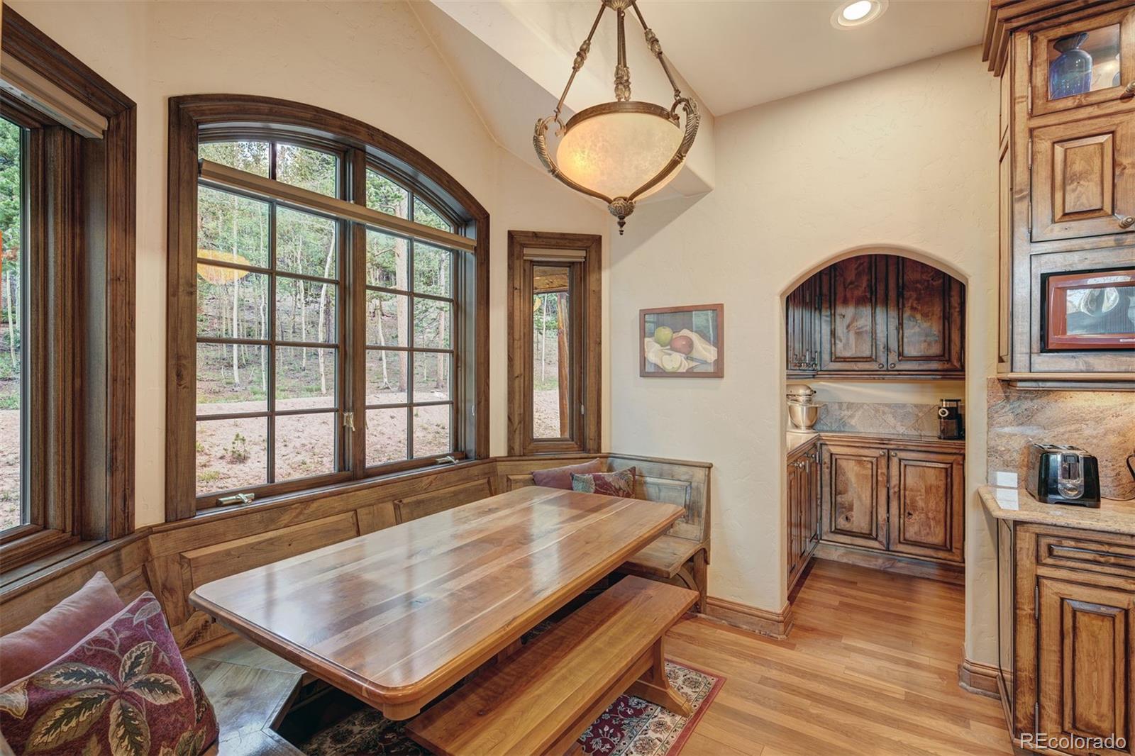 MLS Image #14 for 24  little baldy circle,fairplay, Colorado